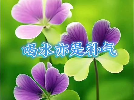 水（化学式为H2O），是由氢、氧两种元素组成的无机物，无毒，可饮用。在常温常压下为无色无味的透明液体，被称为人类生命的源泉，是维持生命的重要物质，也叫氧化氢。 水即是氢气 氧气=气 喝水亦是补气 我们吃的任何食物，嚼成浆水状再咽下，也是在补气……,h20是啥元素- 抖音