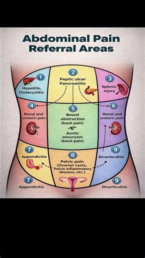 Abdominal Pain Area Reference: What the Location of Your Stomach Pain Could Mean