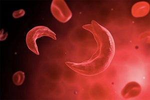 Genome engineering paves way for sickle cell cure - Berkeley News