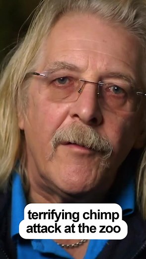 170K views · 704 reactions | Watch the horrifying moment a dominant male #chimpanzee ATTACKS a new female | Nature Bites | Facebook