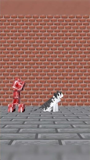 Some Creepers Hate Cats #minecraft #minecraftshorts #memes #minecraftanimation #funny