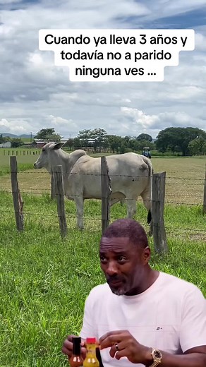 Ganadería el Arrayán on TikTok