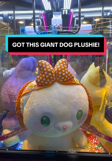 Giant Dog Plushie from Claw Machine Tips and Tricks
