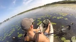21K views · 236 reactions | Frog season upon us  (via @fishlikemike) #teambassmanager | Bass Manager | Facebook