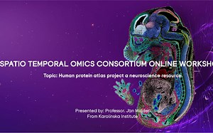 [STOC workshop] Human Protein Atlas project: a neuroscience resource(Jan Mulder)