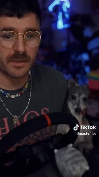 Julien talks about Kermit and the dogs getting older♥️