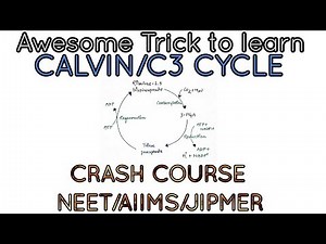 AWESOME TRICK TO LEARN CALVIN CYCLE/C3 CYCLE Video Lecture - NEET