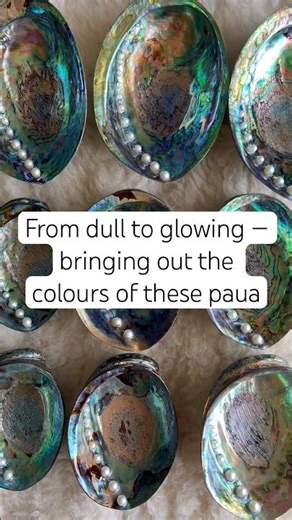 From dull to glowing ✨ pāua transformation