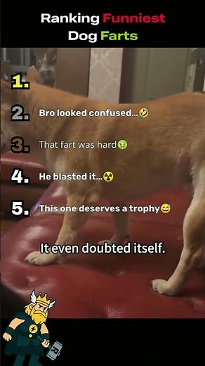 HILARIOUS DOG Fart Moments Ranked