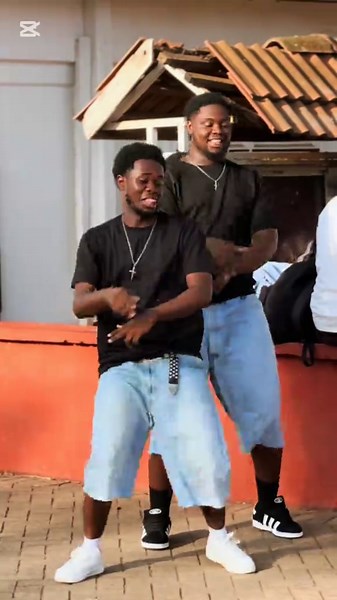 Dance Blooper: Unexpected Visitor Spoils the Shot!