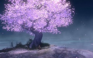 第1128集 最终获利