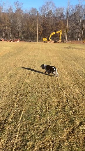 Too much fun? | Southern Sod Sales, Inc.