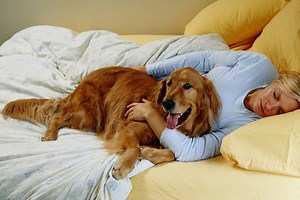 What Does It Mean When Dogs Snuggle With You? - Cuteness