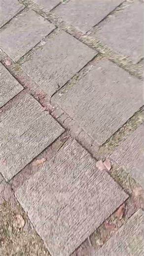 random screaming meme for editing