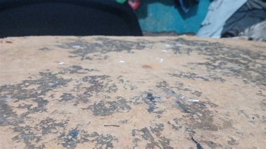 Biosyn vs Sorna: A Dino Showdown