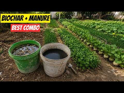 Enrich Your Soil for 1,000 YEARS with This ONE Ingredient (Activated Biochar)
