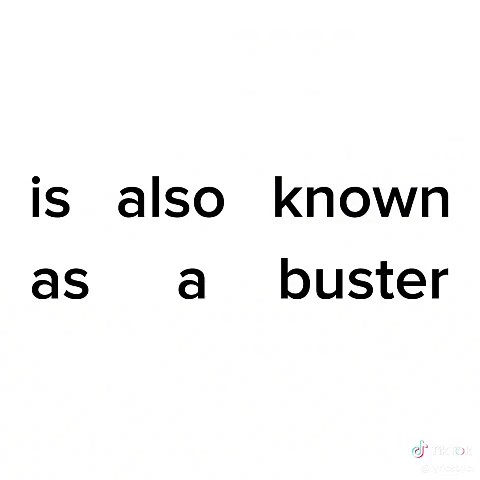 No Scrubs by TLC: Meaning and Impact of the Song
