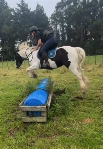 Millie's Amazing Jump at Pony Club