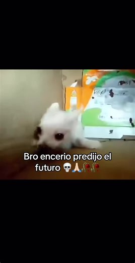 Predicciones Futuras de un Perro Hablante