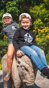 4.5K views · 91 reactions | The Zoo swag is real. Get yours today: https://shop.toledozoo.org/ | The Toledo Zoo | Facebook