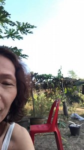 แสงแดดเริ่มมาทานกาแฟให้สดชื่นและอบอุ่นคะ | Nong Somtawin Giftshop