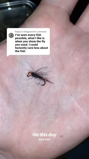 Skyler McCafferty on Instagram: "Throwback to my OG stonefly pattern! I honestly forgot how to tie this till this memory popped up! #flytying #fyp"