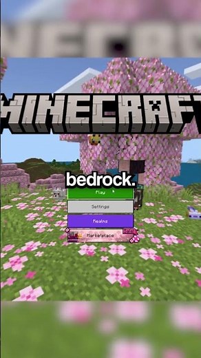How to Join the VIRAL Minecraft Earth SMP #minecraft #minecraftserver #earthsmp