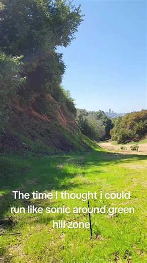The Time I Tried to Run Like Sonic Around Green Hill Zone