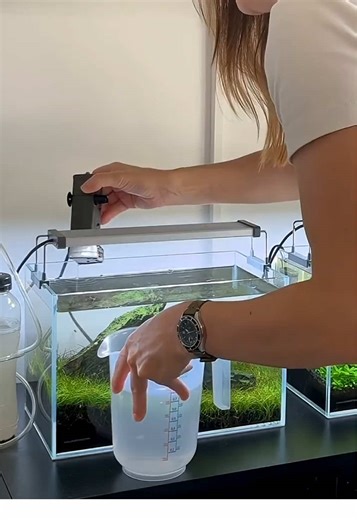 Essential Tips for Aquarium Filter Cleaning