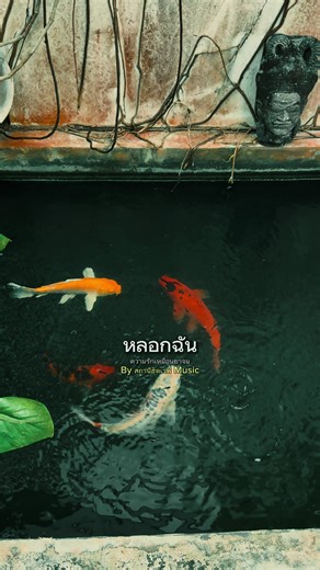 ความรักเหมือนยาขม: เพลงฮิตจากสถานีฮิตเวฟมิวสิค