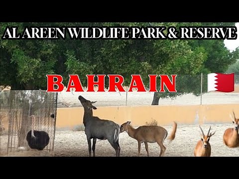 Al Areen Wildlife Park & Reserve ||National Park Bahrain 🇧🇭