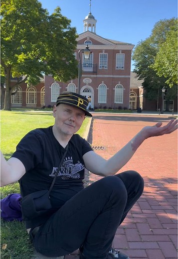 Furious Cat Smashes Pumpkins in Hilarious Video