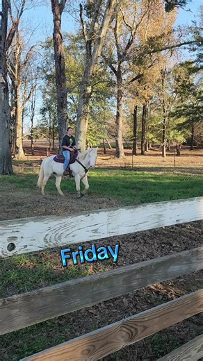 Literally in just 3 days the difference. Friday was her first time loping around all 3 barrels. Today they loped almost the entire pattern. Everyday is progress. No matter what you are always learning and growing. Dont mind my zooming oops on the 2nd video I got excited 🤣 I am so proud of you @saturn riding the horse you were told you couldn't handle. Pushing yourself to be better as a rider as well as caring for the horses. She takes care to make sure everything is done and checked before padd