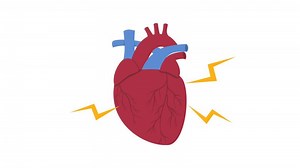 Human heart illustration, animation. Human heart anatomy. Chest tension, heart attack. Heart beat.