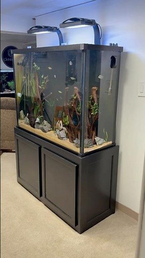 A few of my aquariums