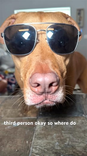 I’m getting a divorce marriage is for dummies 🤷🏽‍♂️ (AI-assisted video using OpenAI Sora) #funny