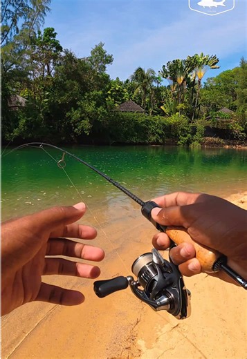 Daiwa Airity Fishing Gear and Custom Rod Insights