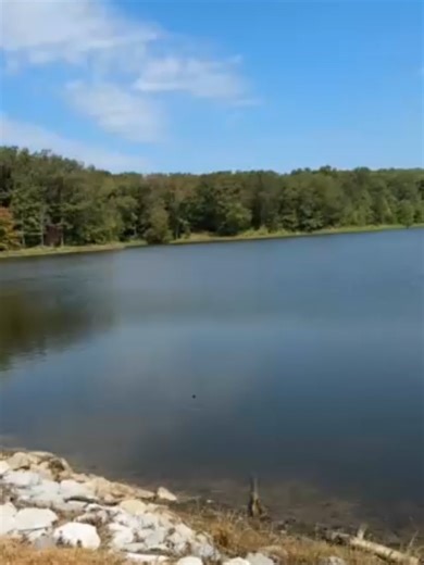 Valuable Moments of Peace to Cherish