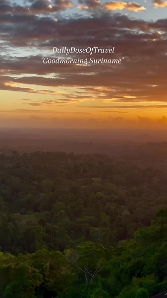Good morning, everyone! 🌞 Today, let's take a moment to appreciate the breathtaking beauty of Suriname's lush forests and vibrant nature. From the towering trees to the diverse wildlife, every corner of this paradise is a reminder of the wonders of our planet. Let's protect and cherish this natural treasure. #Suriname #Nature #Forest #GoodMorning #bovensuriname🇸🇷 #hiddengems #forestsuriname #sipaliwini🇸🇷