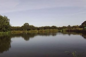 Trevella Park Fishing, Newquay | Fishery Guide