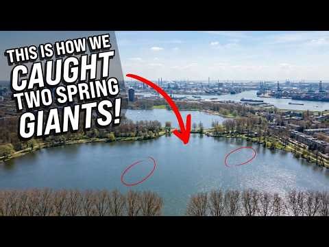 This is how we caught GIANT spring PIKE on the shallows