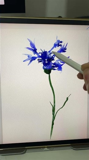 【iPad画画】Procreate iPad Drawing ✍️ WATERCOLOR FLOWER #art #flowers #painting