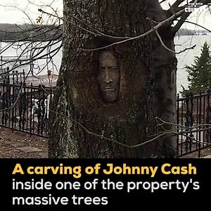 958K views · 272 reactions | What's in store for Johnny Cash's eerily...