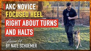 Secrets to AKC Novice Success – Train Like a Champion