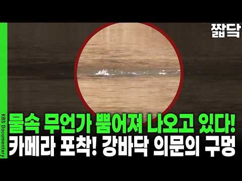 한파에도 펄펄 끓는다? 온천도 아닌데 사계절 내내 보글보글 끓어오르는 미스터리 강물 | KBS VJ 특공대 20151211 방송