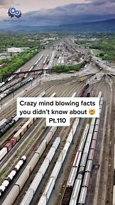 23K views · 558 reactions | Did You Know? Fun Facts About ... #facts #facts #factsdaily #factsoflife #funfacts #factsonly #amazingfacts #dailyfacts #interestingfacts #sciencefacts #truefacts #instafacts #didyouknowfacts #psychologyfacts #factss #realfacts #bigfacts #coolfacts #animefacts #nutritionfacts #factsaboutme #allfacts #worldfacts #facts #factsmatter #factszone #facts100 | Next Door Facts | Facebook