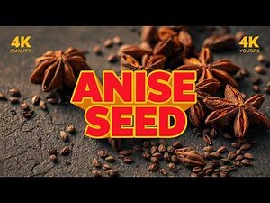 Anise Seed Explained: The Ancient Spice That Shaped Flavor, Medicine, and Culture