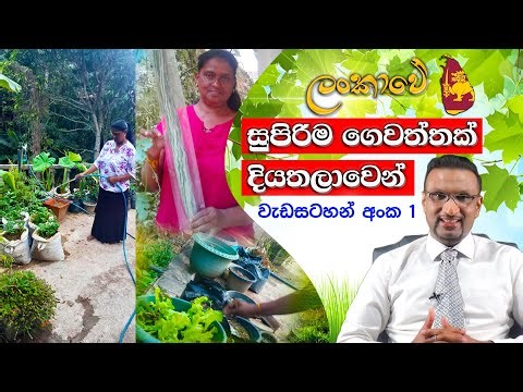 Home Gardening Sinhala | Gewathu Wagawa | ලංකාවේ සුපිරිම ගෙවත්ත | The best garden in Sri Lanka | #1