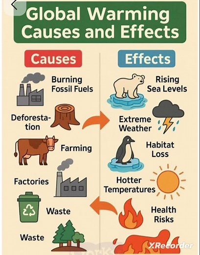causes and effects of global warming