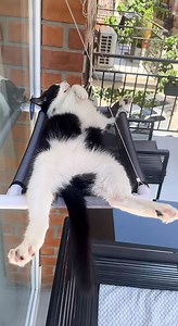 2.1M views · 10K reactions | Bon week-end à tous ! Prenez exemple sur...